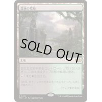 [EX+]森林の墓地/Woodland Cemetery《日本語》【TDC】