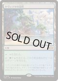 ヤヴィマヤの沿岸/Yavimaya Coast《日本語》【TDC】