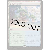[EX+]ヤヴィマヤの沿岸/Yavimaya Coast《日本語》【TDC】
