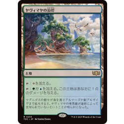 画像1: ヤヴィマヤの沿岸/Yavimaya Coast《日本語》【TDC】