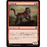 玉虫色の虎/Iridescent Tiger《日本語》【TDM】
