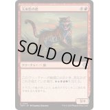 [EX+](FOIL)玉虫色の虎/Iridescent Tiger《日本語》【TDM】
