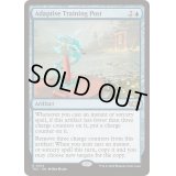 順応する木人椿/Adaptive Training Post《英語》【TDC】