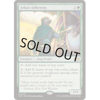 [EX+]東屋の支持者/Arbor Adherent《英語》【TDC】