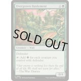 [EX+]草茂る胸壁/Overgrown Battlement《英語》【TDC】