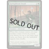 [EX+]春花のドルイド/Springbloom Druid《英語》【TDC】