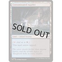 汚染された帯水層/Contaminated Aquifer《英語》【TDC】