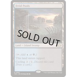 画像1: 異臭の池/Fetid Pools《英語》【TDC】