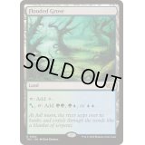 溢れかえる果樹園/Flooded Grove《英語》【TDC】