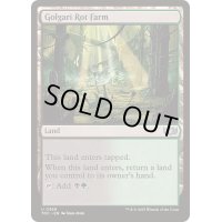 [EX+]ゴルガリの腐敗農場/Golgari Rot Farm《英語》【TDC】