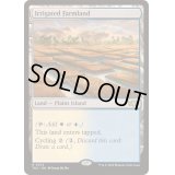 灌漑農地/Irrigated Farmland《英語》【TDC】