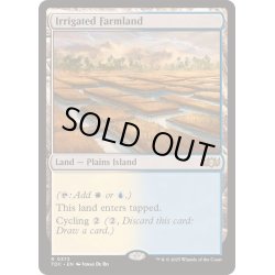 画像1: 灌漑農地/Irrigated Farmland《英語》【TDC】