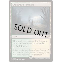 画像1: [EX+]草茂る農地/Overgrown Farmland《英語》【TDC】