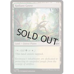 画像1: 光輝の木立ち/Radiant Grove《英語》【TDC】