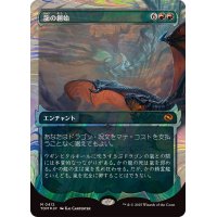 (ハローFOIL)龍の創始/Dracogenesis《日本語》【TDM】