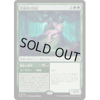 (FOIL)咲蔦森の執政/Bloomvine Regent《日本語》【TDM】