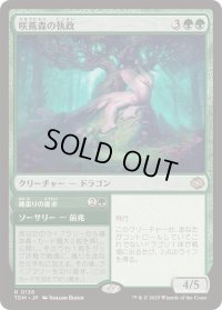 (FOIL)咲蔦森の執政/Bloomvine Regent《日本語》【TDM】