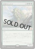 [EX+]孔蹄のビヒモス/Craterhoof Behemoth《日本語》【TDM】