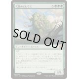 [EX+]孔蹄のビヒモス/Craterhoof Behemoth《日本語》【TDM】