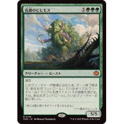 画像1: [EX+](FOIL)孔蹄のビヒモス/Craterhoof Behemoth《日本語》【TDM】
