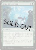 [EX+](FOIL)侵食するドラゴンの嵐/Encroaching Dragonstorm《日本語》【TDM】
