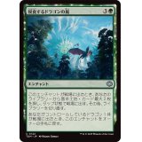 侵食するドラゴンの嵐/Encroaching Dragonstorm《日本語》【TDM】
