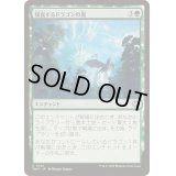 [EX+](FOIL)侵食するドラゴンの嵐/Encroaching Dragonstorm《日本語》【TDM】
