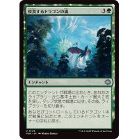 侵食するドラゴンの嵐/Encroaching Dragonstorm《日本語》【TDM】