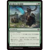 受け継ぎし地の開墾/Heritage Reclamation《日本語》【TDM】