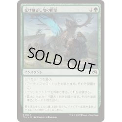 画像1: [EX+](FOIL)受け継ぎし地の開墾/Heritage Reclamation《日本語》【TDM】
