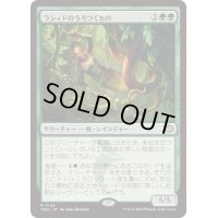 [EX+]ラシィドのうろつくもの/Lasyd Prowler《日本語》【TDM】