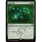 自然の律動/Nature's Rhythm《日本語》【TDM】