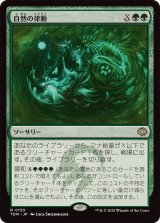 自然の律動/Nature's Rhythm《日本語》【TDM】