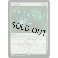 [EX+](FOIL)自然の律動/Nature's Rhythm《日本語》【TDM】