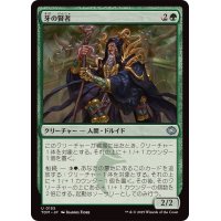 牙の賢者/Sage of the Fang《日本語》【TDM】