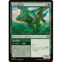 サグの原生龍/Sagu Wildling《日本語》【TDM】