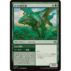 画像1: (FOIL)サグの原生龍/Sagu Wildling《日本語》【TDM】