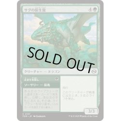 画像1: [EX+]サグの原生龍/Sagu Wildling《日本語》【TDM】