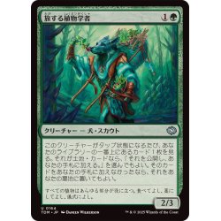 画像1: (FOIL)旅する植物学者/Traveling Botanist《日本語》【TDM】