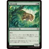 下生えの豹/Undergrowth Leopard《日本語》【TDM】