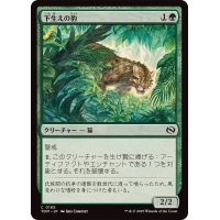下生えの豹/Undergrowth Leopard《日本語》【TDM】