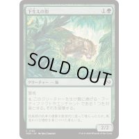 [EX+]下生えの豹/Undergrowth Leopard《日本語》【TDM】