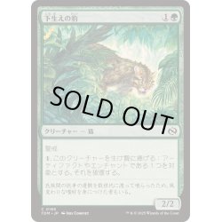 画像1: [EX+]下生えの豹/Undergrowth Leopard《日本語》【TDM】