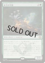 (FOIL)木立の守部/Warden of the Grove《日本語》【TDM】