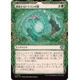 (ショーケース枠)侵食するドラゴンの嵐/Encroaching Dragonstorm《日本語》【TDM】
