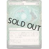 [EX+](FOIL)(ショーケース枠)侵食するドラゴンの嵐/Encroaching Dragonstorm《日本語》【TDM】