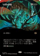 (フルアート)自然の律動/Nature's Rhythm《日本語》【TDM】