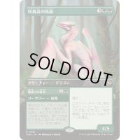 (フルアート)咲蔦森の執政/Bloomvine Regent《日本語》【TDM】