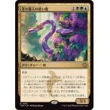 (FOIL)牙の番人の使い魔/Fangkeeper's Familiar《日本語》【TDM】