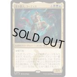 [EX+](FOIL)牙の番人、コーティス/Kotis, the Fangkeeper《日本語》【TDM】